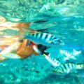 Snorkeling