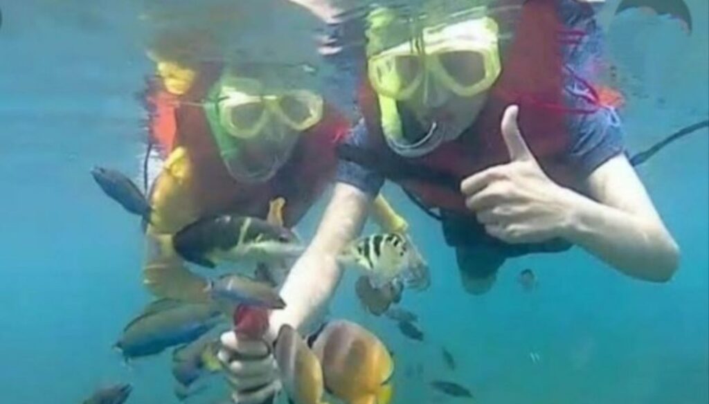 Snorkeling Pangandaran