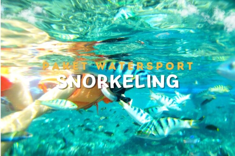 Snorkeling Pangandaran